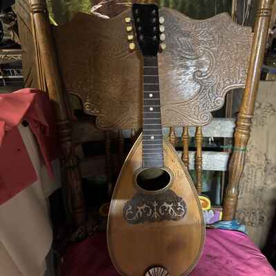 Taterbug Mandolin. Bowlback Mandolin. Unknown Maker