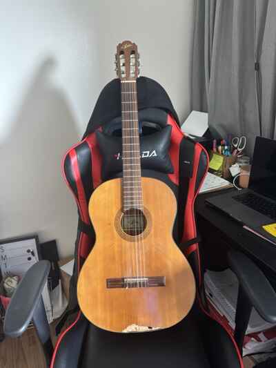 Aria Acoustic guitar