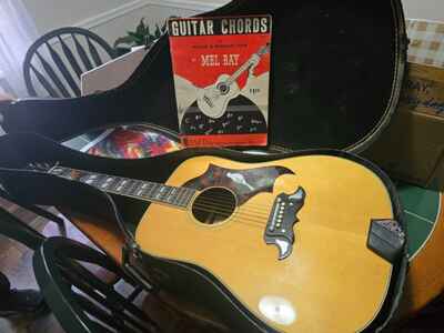Dixon dove guitar