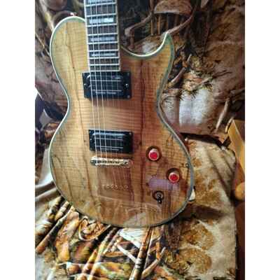 Aria Less Paul Electric Guitar special edition