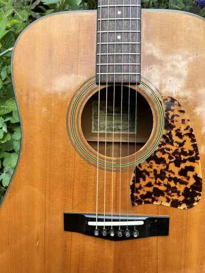 Vintage Ibanez /  Tama AW20 Solid Spruce Japanese Acoustic Guitar Cased