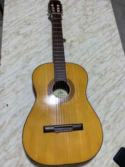 chitarra eko